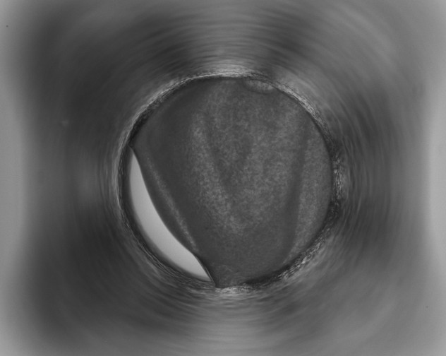 X0000093400350200711091345