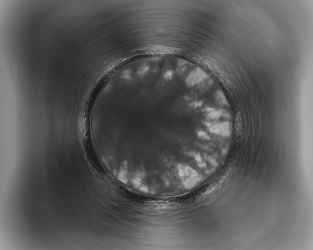 X0000093400351200711091345