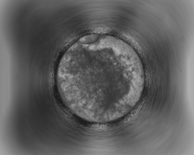 X0000093400354200711091345