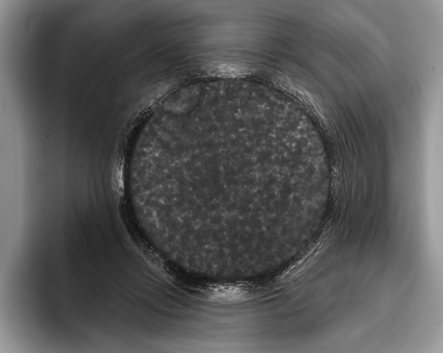 X0000093400358200711091345