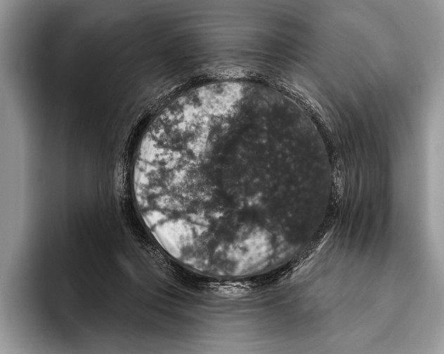 X0000093400359200711091345