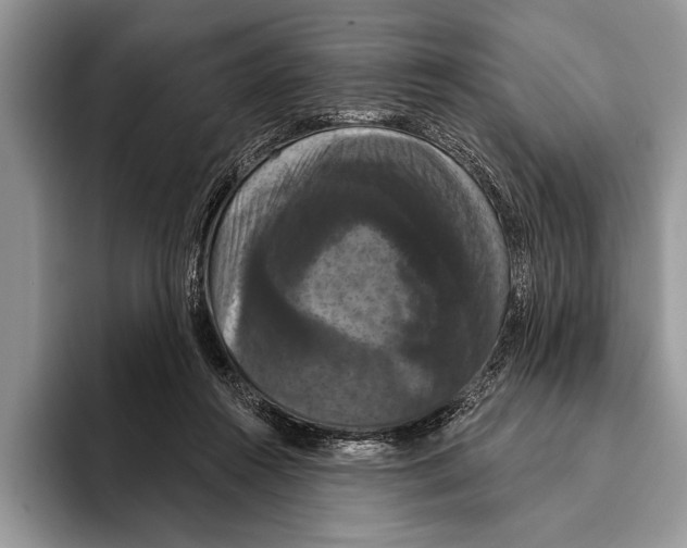 X0000093400360200711091345