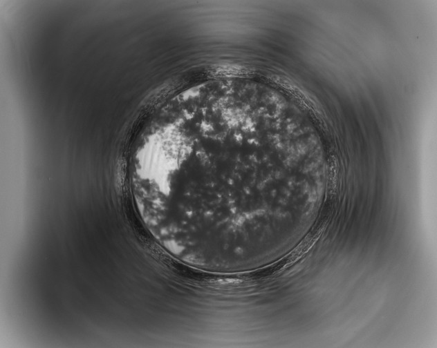 X0000093400361200711091345