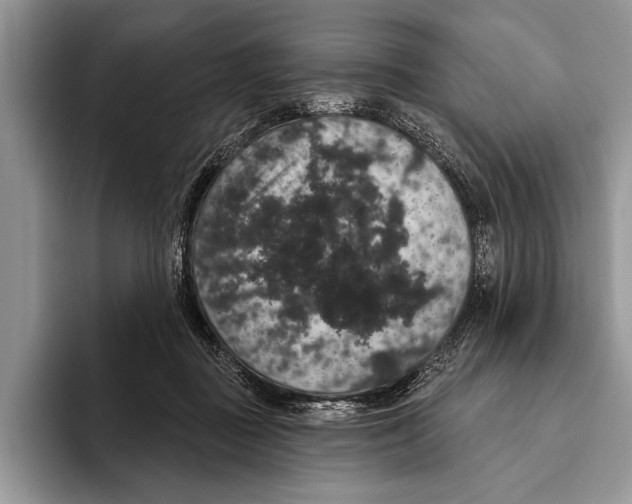 X0000093400363200711091345