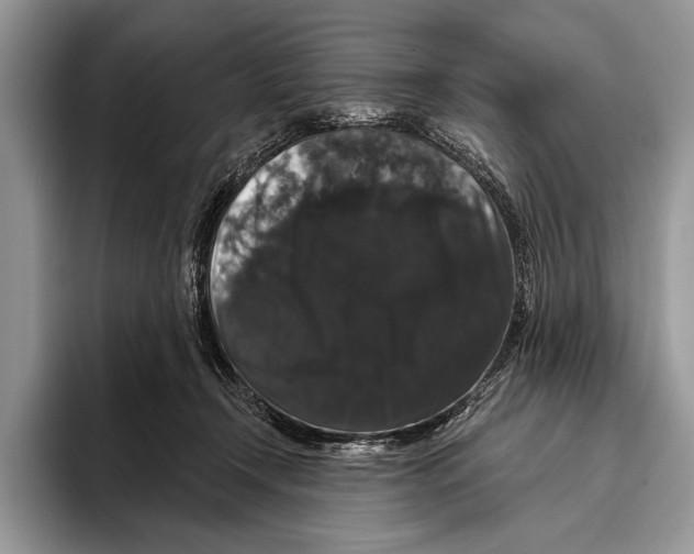 X0000093400366200711091345