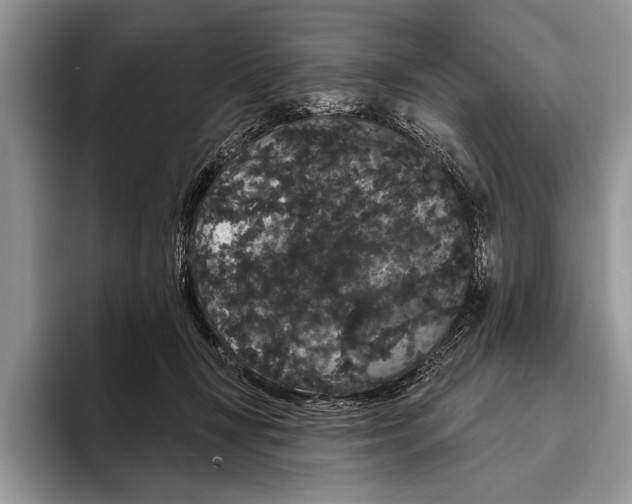 X0000093400367200711091345