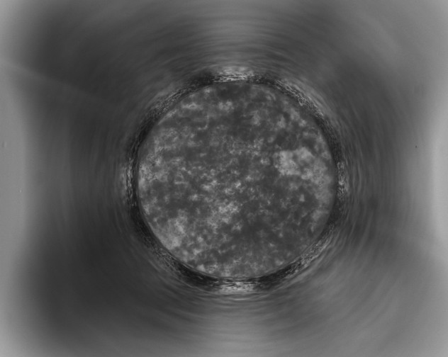 X0000093400369200711091345