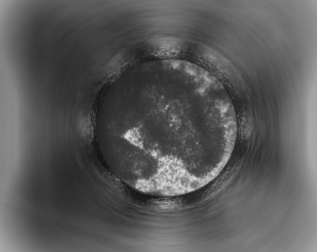 X0000093400370200711091345