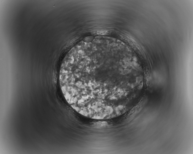 X0000093400374200711091345