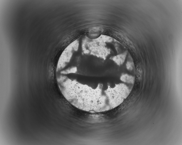 X0000093400375200711091345