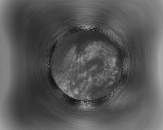 X0000093400376200711091345