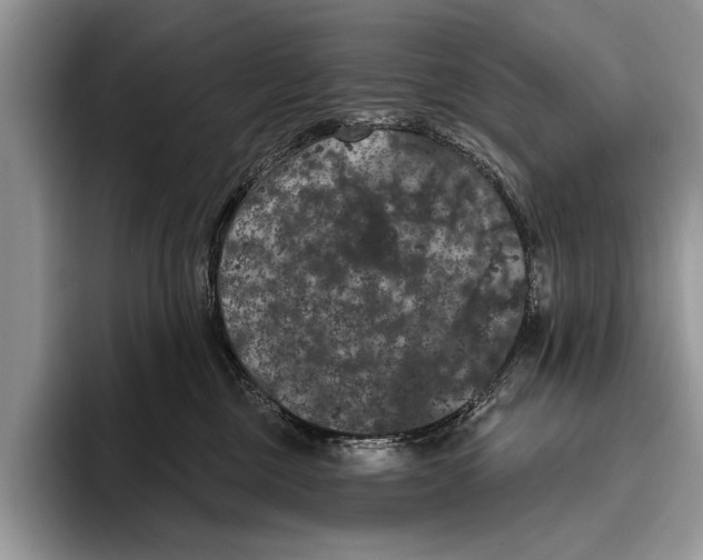 X0000093400377200711091345