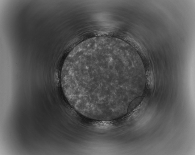 X0000093400378200711091345