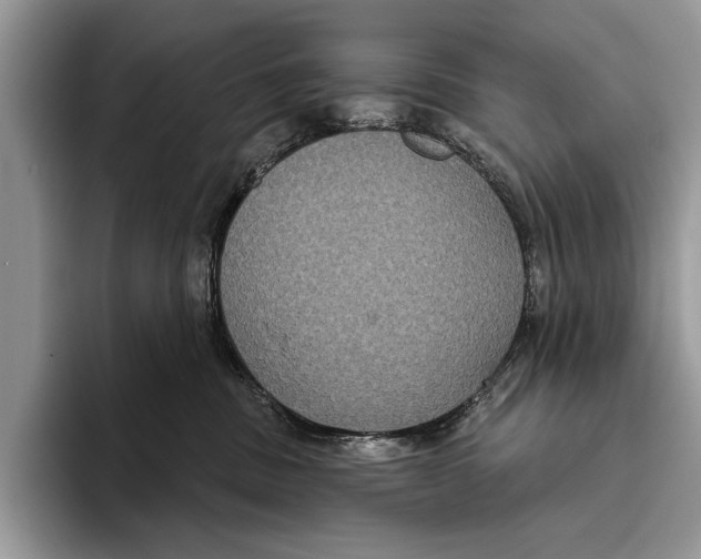 X0000093400379200711091345