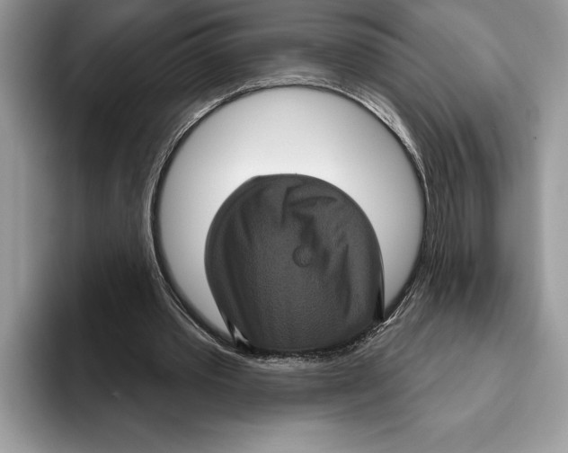 X0000093400389200711091345