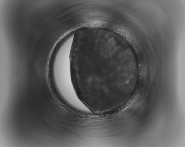 X0000093400392200711091345