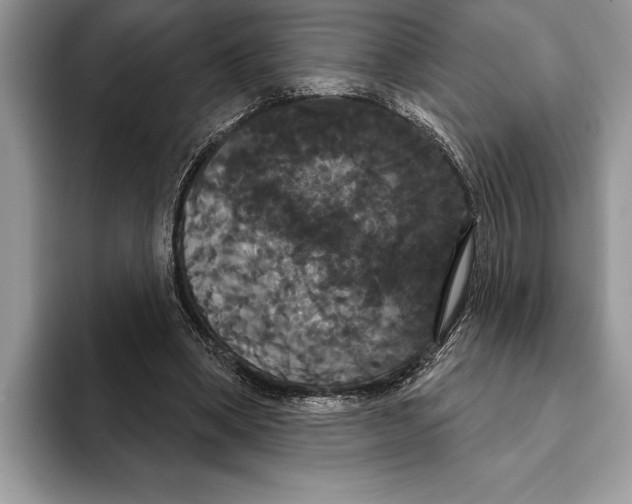 X0000093400394200711091345