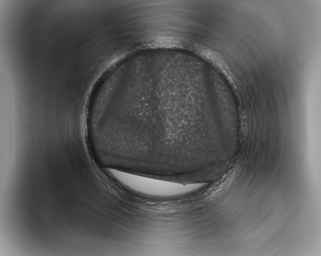 X0000093400395200711091345