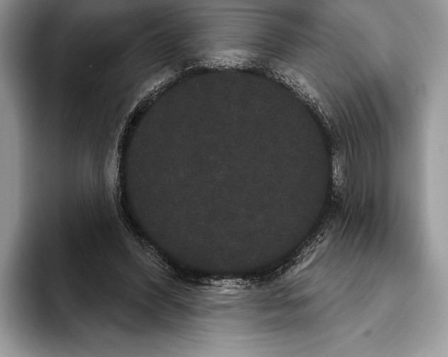 X0000093400396200711091345