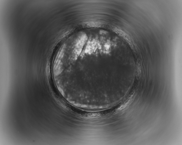 X0000093400398200711091345