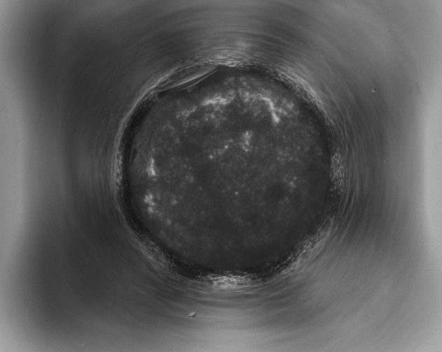 X0000093400400200711091345