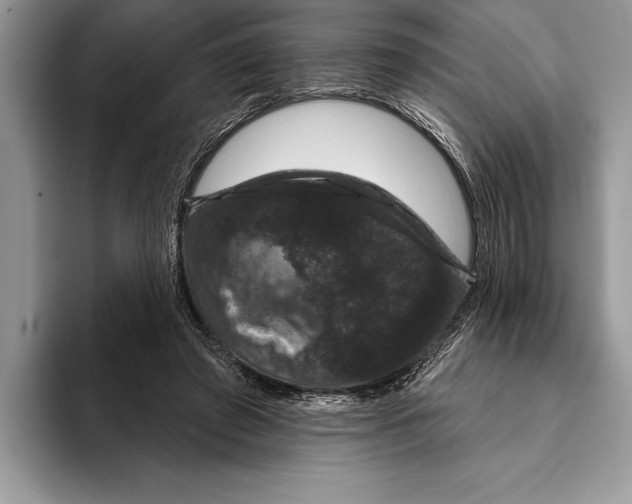 X0000093400401200711091345