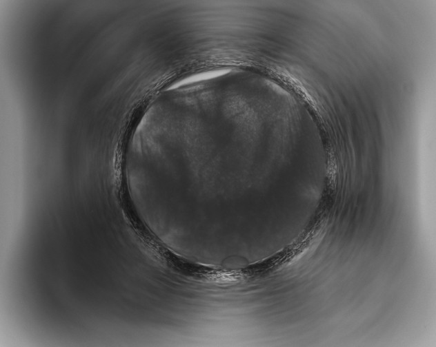 X0000093400402200711091345