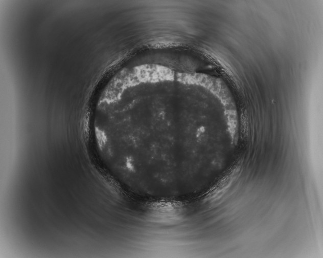 X0000093400404200711091344