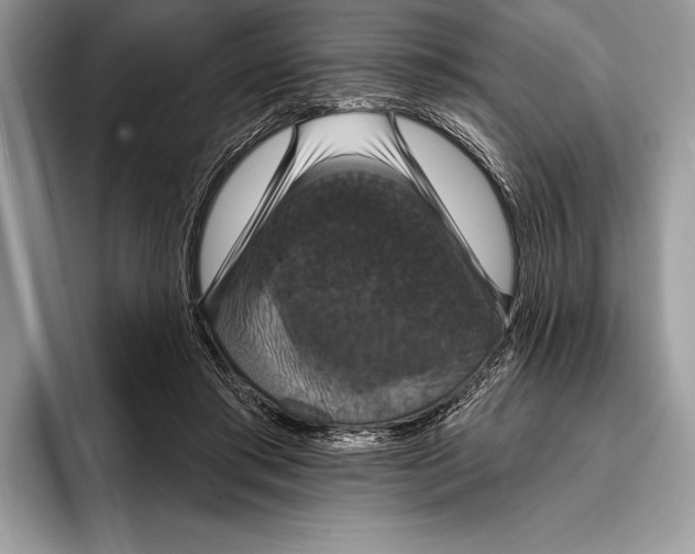 X0000093400405200711091344