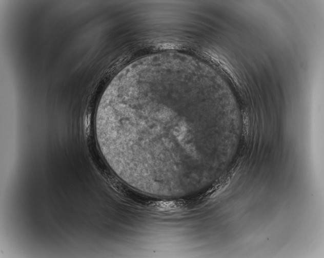 X0000093400406200711091344