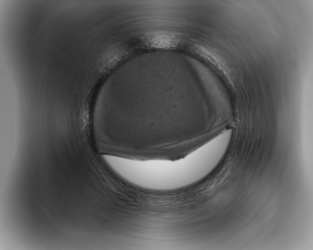 X0000093400407200711091344