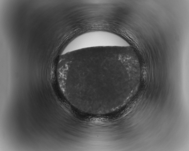 X0000093400408200711091344