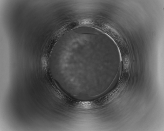 X0000093400409200711091344