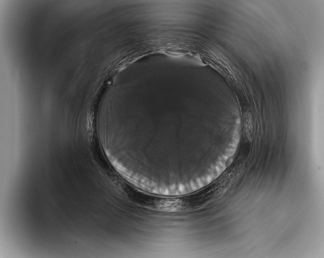 X0000093400410200711091344