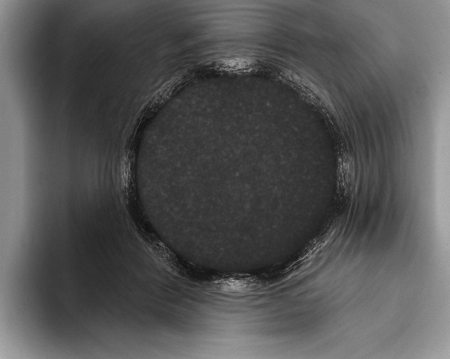 X0000093400412200711091344