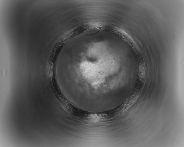 X0000093400413200711091344