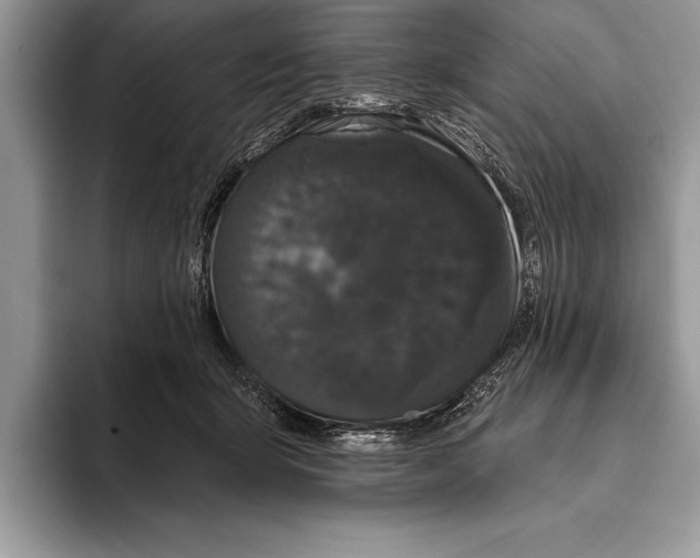 X0000093400415200711091344