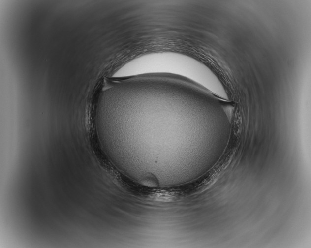 X0000093400416200711091344