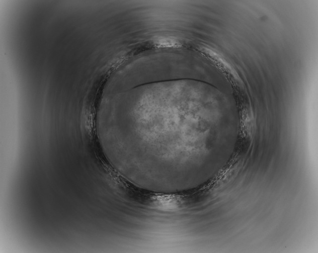 X0000093400417200711091344