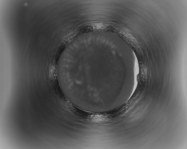 X0000093400419200711091344