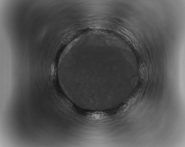 X0000093400420200711091344