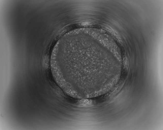 X0000093400421200711091344