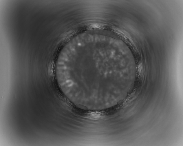 X0000093400423200711091344