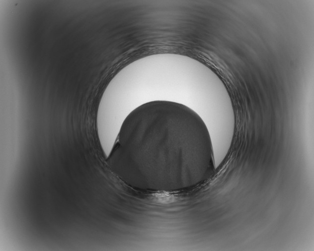 X0000093400425200711091344