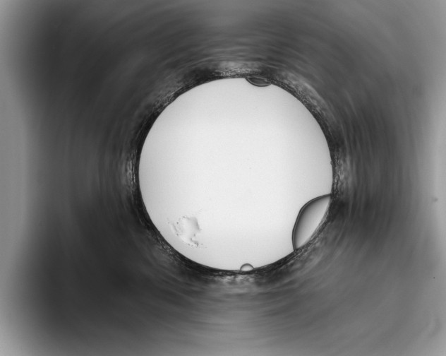 X0000093400426200711091344