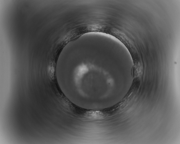 X0000093400427200711091344