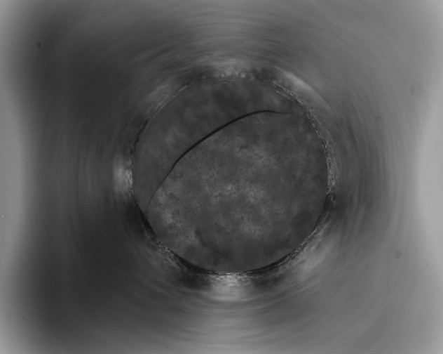 X0000093400432200711091344