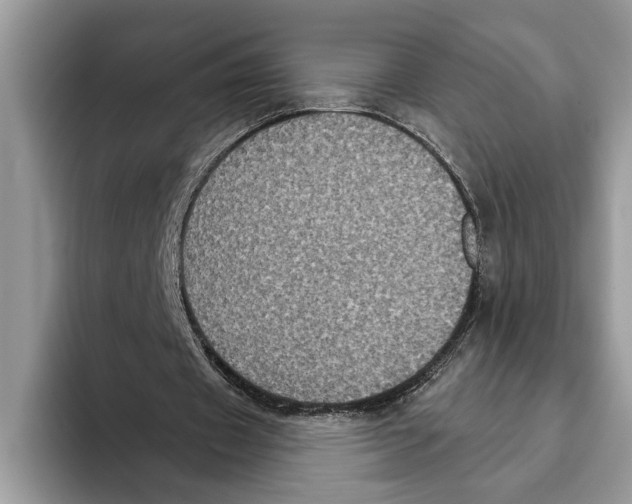 X0000093400433200711091344