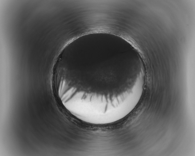 X0000093400434200711091344