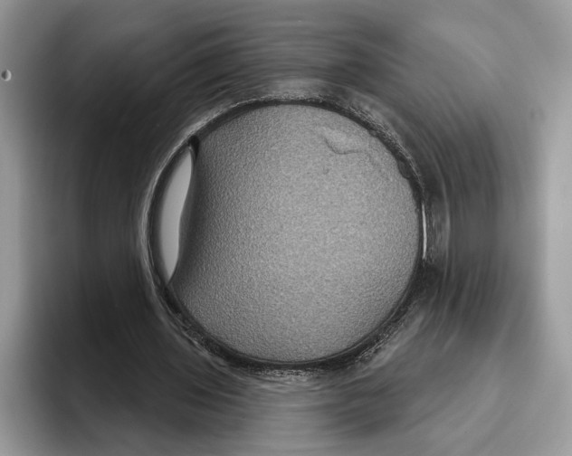 X0000093400435200711091344